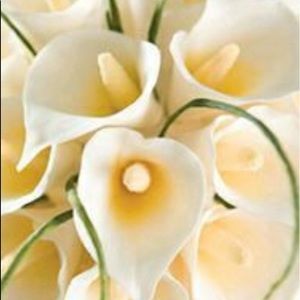 Meet your Posher, Carla